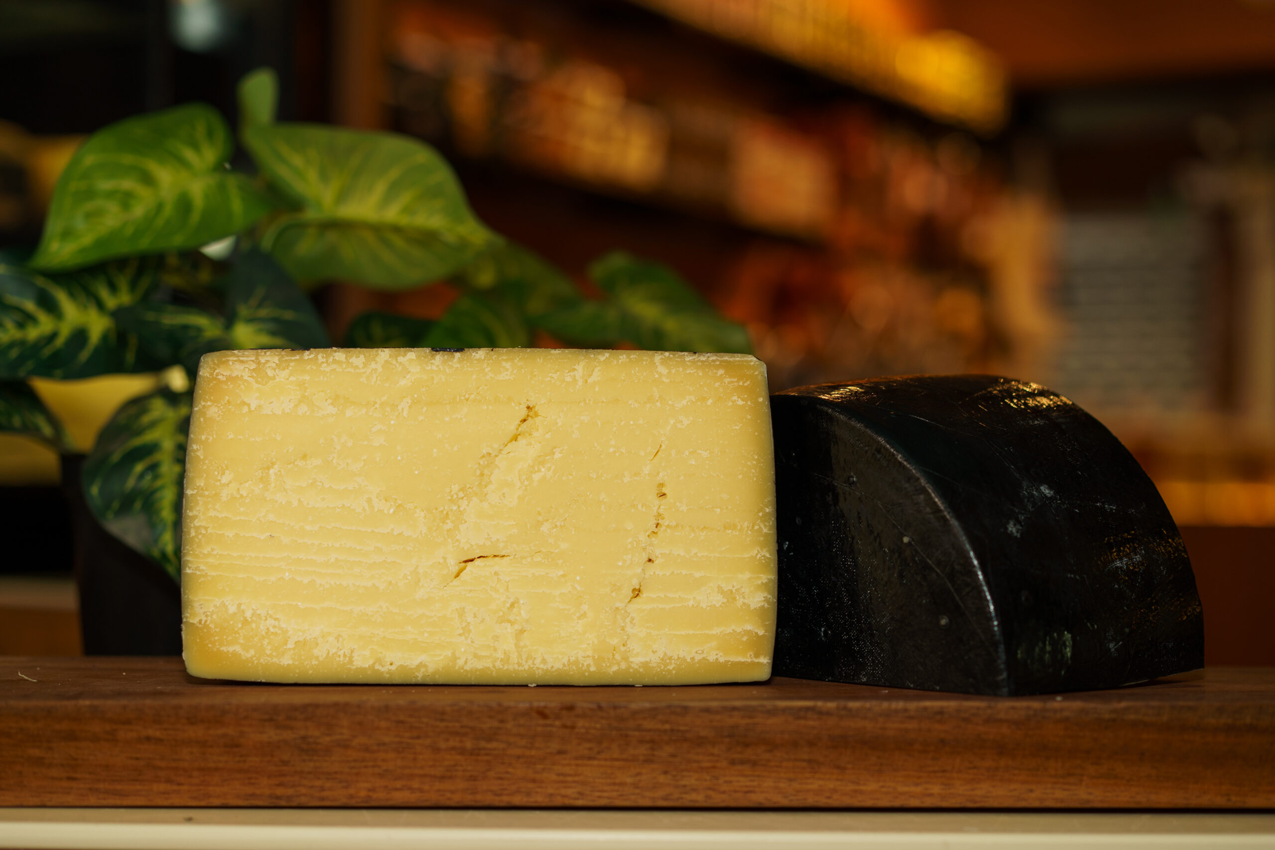 Parmesão Uruguaio
