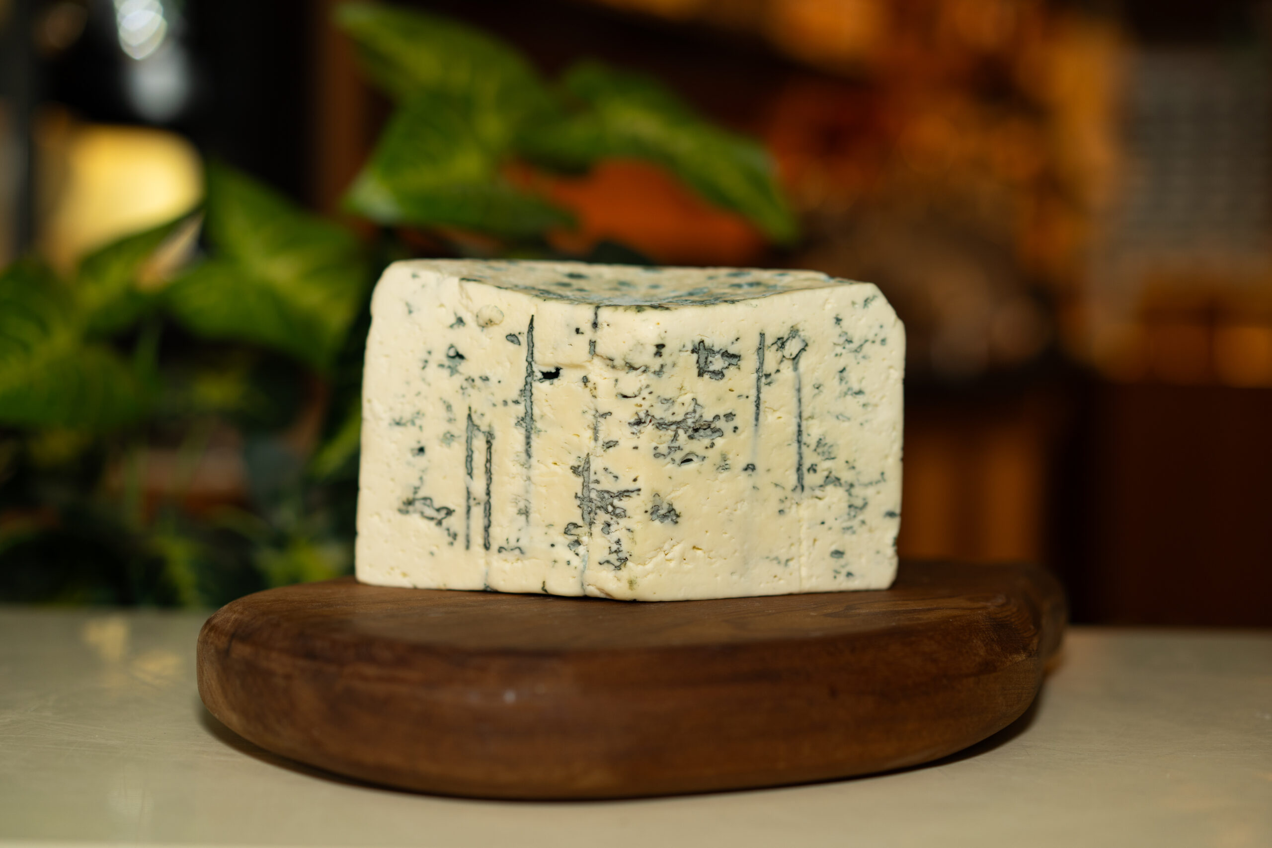 Gorgonzola